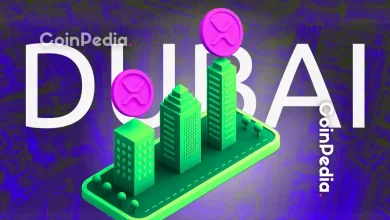 谢赫·马克图姆宣布迪拜在虚拟资产授权领域成为全球领导者