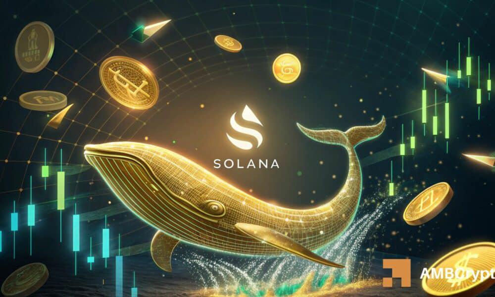 In /uploadfile/coin/2025/1016/1s60as0d63ss0d6a1aac1a.jpg.92 Billion SOL Whales Transfer, Solana Faces Key Resistance!