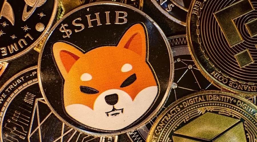 The Most Promising Crypto Emoji Coin: Shiba Inu Coin\