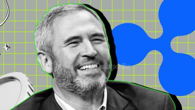 Ripple CEO Brad Garlinghouse Predicts Groundbreaking Changes in Cryptocurrency Usability Over the Next 16 Years